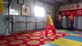 七星螳螂拳　姓名不明　翻車拳　2017年