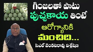 ఆరోగ్యానికి  మేలు చేసే పుచ్చకాయ Watermelon is very good for health | Dr CL Venkata Rao Health Tips