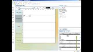 Report Design - Adding HTML