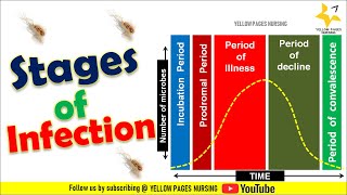 Stages of infection |Incubation Period | Prodromal Period | illness |  Decline \u0026 Convalescence