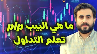 فوركس | ما هي البيب pip في التداول | مفهوم النقطه في الفوركس وطريقة حسابها ببساطه