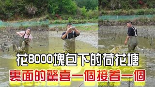 花8000塊包下的荷花塘，裏面的驚喜壹個接著壹個#戶外 #抓魚vlog #農村生活 #三農 #我要上熱門