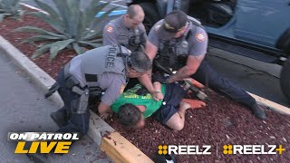 11 Wildest Florida Man Moments Caught on Camera