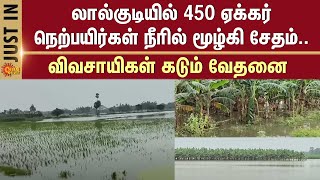 Lalgudi | Paddy crops | Submerged in water | Farmers | Worry | Tiruchirappalli district | Sun News