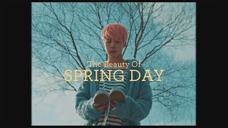 The Beauty Of ｢'봄날' Spring Day｣