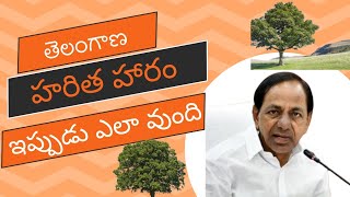 తెలంగాణ ప్రకృతి| హరిత హారం| ex cm Chandrashekar garu inauguration #telangana#suryatvnews