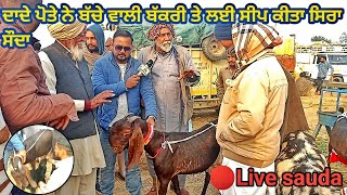 ਦਾਦੇ ਪੋਤੇ ਨੇ ਬੱਚੇ ਵਾਲੀ ਬੱਕਰੀ ਤੇ ਲਈ ਸੀਪ #live_sauda grand father goat purchase @FarmingbabaPunjab