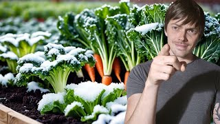 On récolte quoi au POTAGER en décembre ?