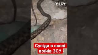 ⚡️⚡️⚡️Сусіди в окопі воїнів ЗСУ