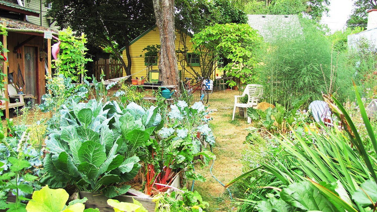 Backyard Ecosystems: A Homesteader's Guide To Permaculture - YouTube