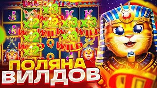 CLEOCATRA ВЫДАЕТ МНОГО ИКСОВ!!!ДЕП 360000 ТЫСЯЧ