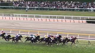 【現地映像】2024年 ジャパンカップ(G1)ドウデュース優勝と俺の雄叫び