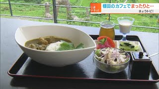 日本の棚田百選”上籾の棚田”を見渡せるカフェでグルメを堪能！｜きょうトピ！（2022年8月25日放送）