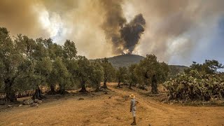 Morocco firefighters, soldiers battle raging inferno as villagers flee