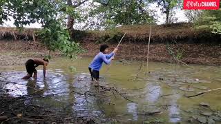 #หว่านแหสระปลาช่อนยักษ์​เยอะมากมีช๊อตเด็ด?#Casting a giant fish#Cast a net#Fish in Thailand#เยอะๆ