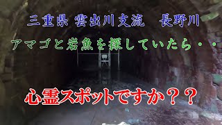 三重県 雲出川支流 長野川　～アマゴと岩魚を探して～