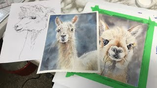 Alpaca in Watercolour