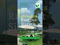 Karpet Rumput Sintetis Area Wonosobo Murah Meriah