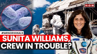 Sunita Williams News | 'Spacebug' Detected At International Space Station | Health Concerns Arise