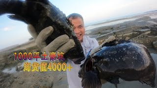 45个猪肺连续15天投1000平土豪坑打窝，狂抓值钱货，大卖4000+