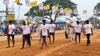 2.Kuruva karrappa gari new category bull's gorlakan dhondi....in Darsi