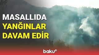 Masallıda yanğınlar davam edir - BAKU TV