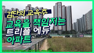 검단 신도시 교육 중심 아파트, 매매 불가, 3억 이하 전세 가능!  조경과 숲 ASMR 임장. 검단 트리플 에듀 예미지 대리 임장, 부동산 인천 아파트 단지 한바퀴 Noby.