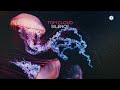 Tom Cloud - Silence