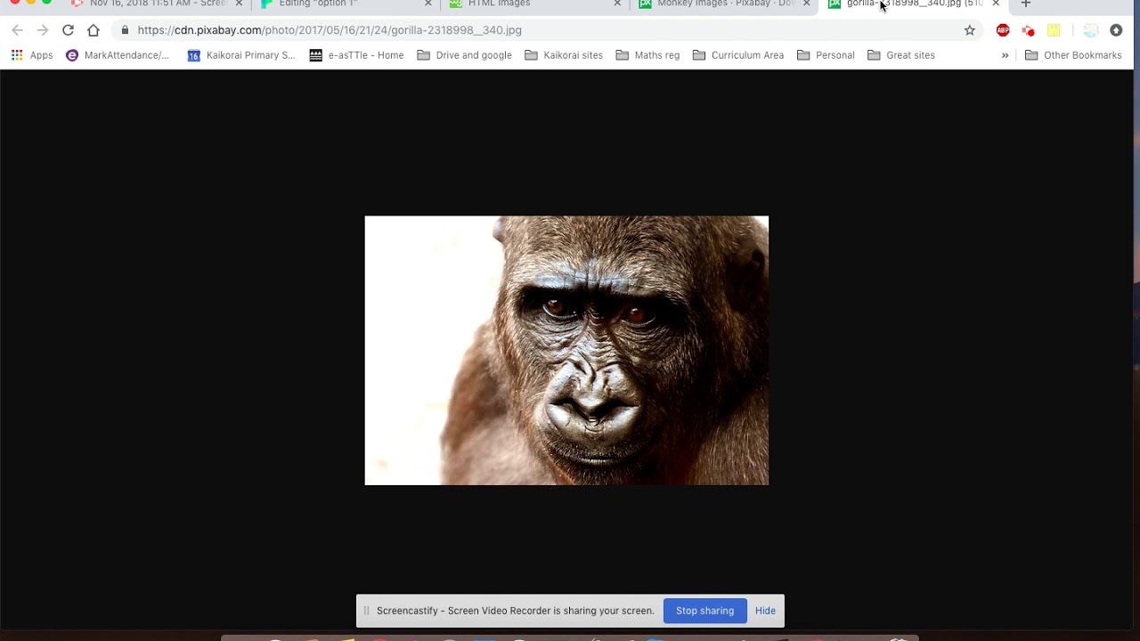 Twinery Html Youtube