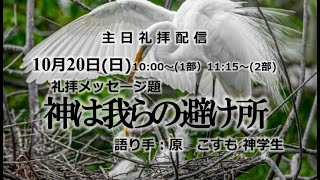 主は我らの避け所（詩篇14篇1節～7節）