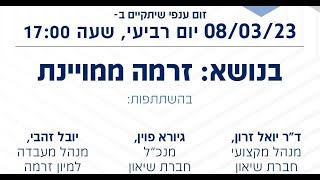 זום ענפי בשיתוף עם שיאון:  זרמה ממויינת