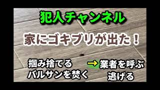 [閲覧注意] バルサンでゴキブリ駆除してみた