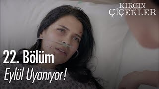 Eylül uyanıyor! - Kırgın Çiçekler 22. Bölüm