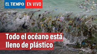 Todo el océano está lleno de plástico, ¿y ahora; qué podemos hacer? | El Tiempo