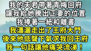 我的夫君帶著青梅回府，讓我給她騰出正妻的位置。 我捧著一紙和離書，帶著我的丫鬟和嫁妝，瀟灑走出了瑜王府的大門