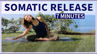 Seated Somatic Yoga | FULL BODY + EMOTIONAL RELEASE in 7 Min