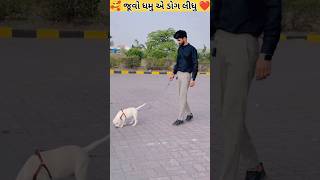 🥰 જૂવો ધમુ એ ડોગ લીધુ ❤️Juvo Dhamu A Dong Ledhu #dhamupalak #dhamupalakcomadyvideo #gujratisong