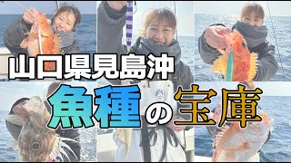 山口県見島沖、魚種が豊富 ／ お花坊