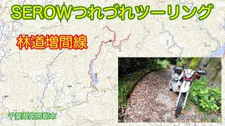 千葉県房総半島 林道増間線　SEROWツーリング　 2023年8月16日　千葉県南房総市