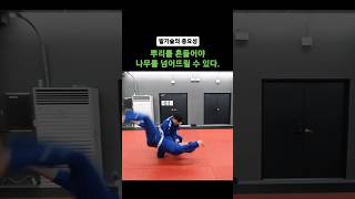 빌기술의 중요성 / 뿌리를 흔들어야 나무를 넘어뜨릴 수 있다. #judo #유도 #uchimata