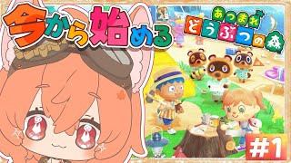 【あつまれどうぶつの森】０からやり直しだ！新しい島で遊ぶぞ #1【南夜わんこ】