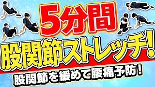 ５分間の股関節のストレッチ！股関節を緩めて腰痛予防！