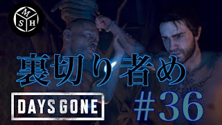 【DAYS GONE初見実況】＃36　やっぱりあいつは裏切った。リッパーとの全面戦争か！？【デイズゴーン】【HIRO】