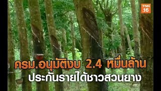 ครม.อนุมัติงบ 2.4 หมื่นล้าน ประกันรายได้ชาวสวนยาง | 16 ต.ค.62 | TNN  ข่าวเช้า