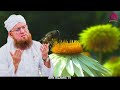 gunaho ko nekiyo main badlo ramzan ki babarkat gariyaa by habib attari bayan abdul habib attari