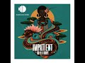 impatient original mix