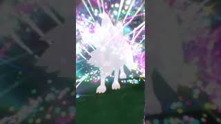 Evolving My Shiny Own Tempo Rockruff In Pokémon Scarlet and Violet