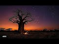 🔴 24/7 Afrobeats & Amapiano Radio — Chill & Vibe | ALBE