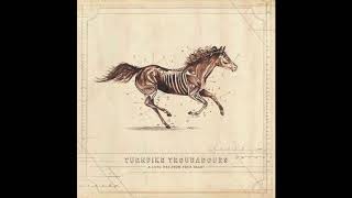 Turnpike Troubadours - Pay No Rent - A Long Way From Your Heart