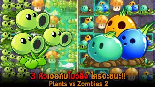 3 หัวเจอกับโบว์ลิ่ง ใครจะชนะ Plants vs Zombies 2